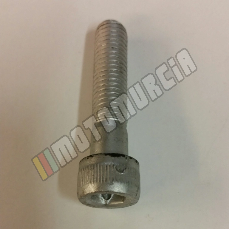 Tornillo M10X45