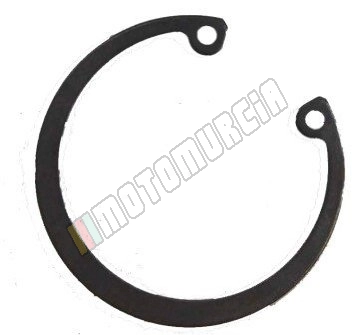 Circlips
