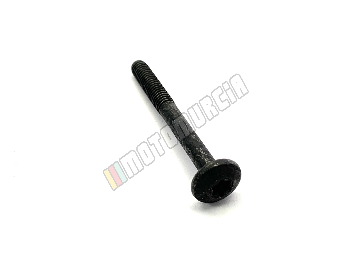 Vis Torx
