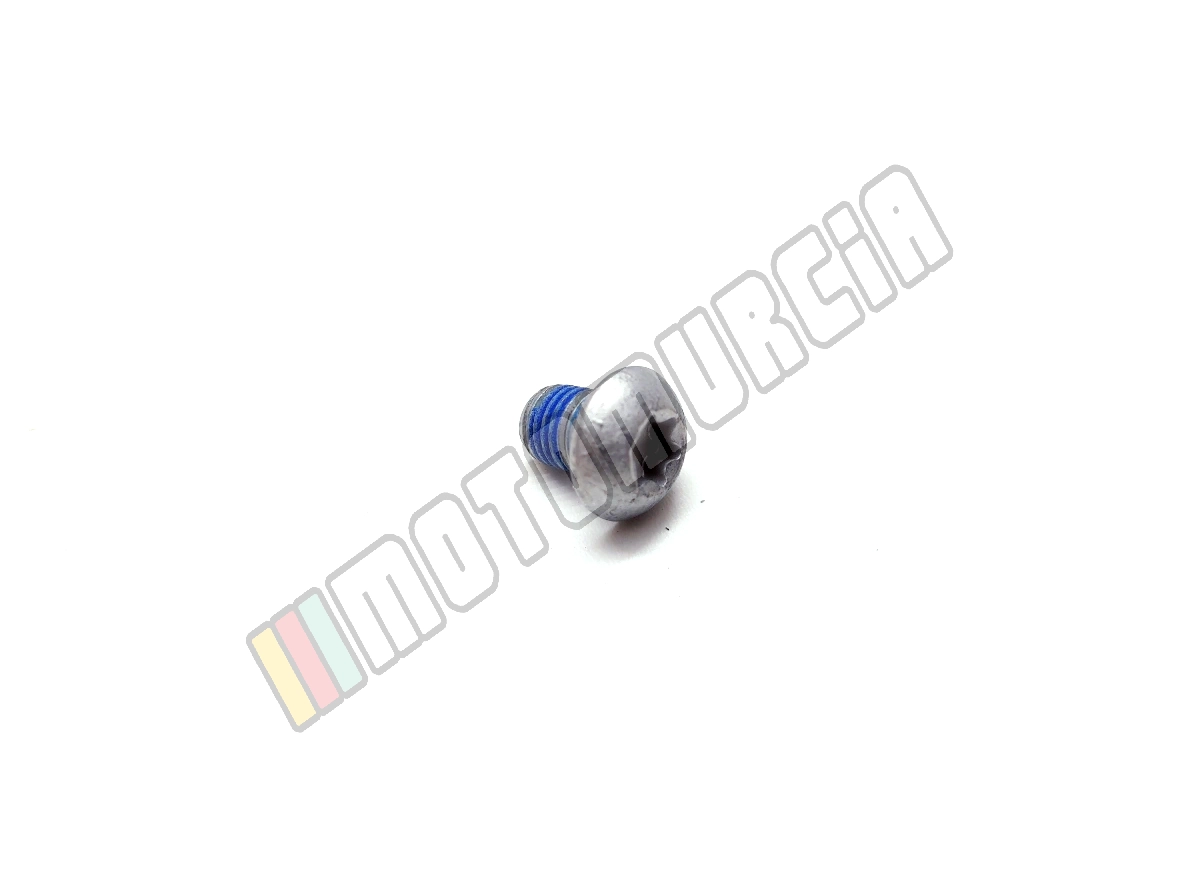 Vis Torx