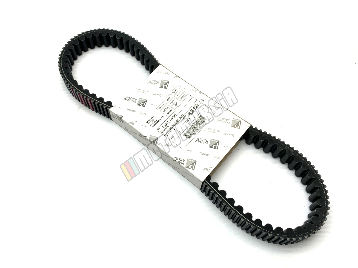 Belt