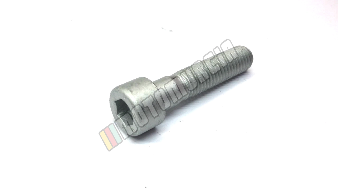 Tornillo M10X45