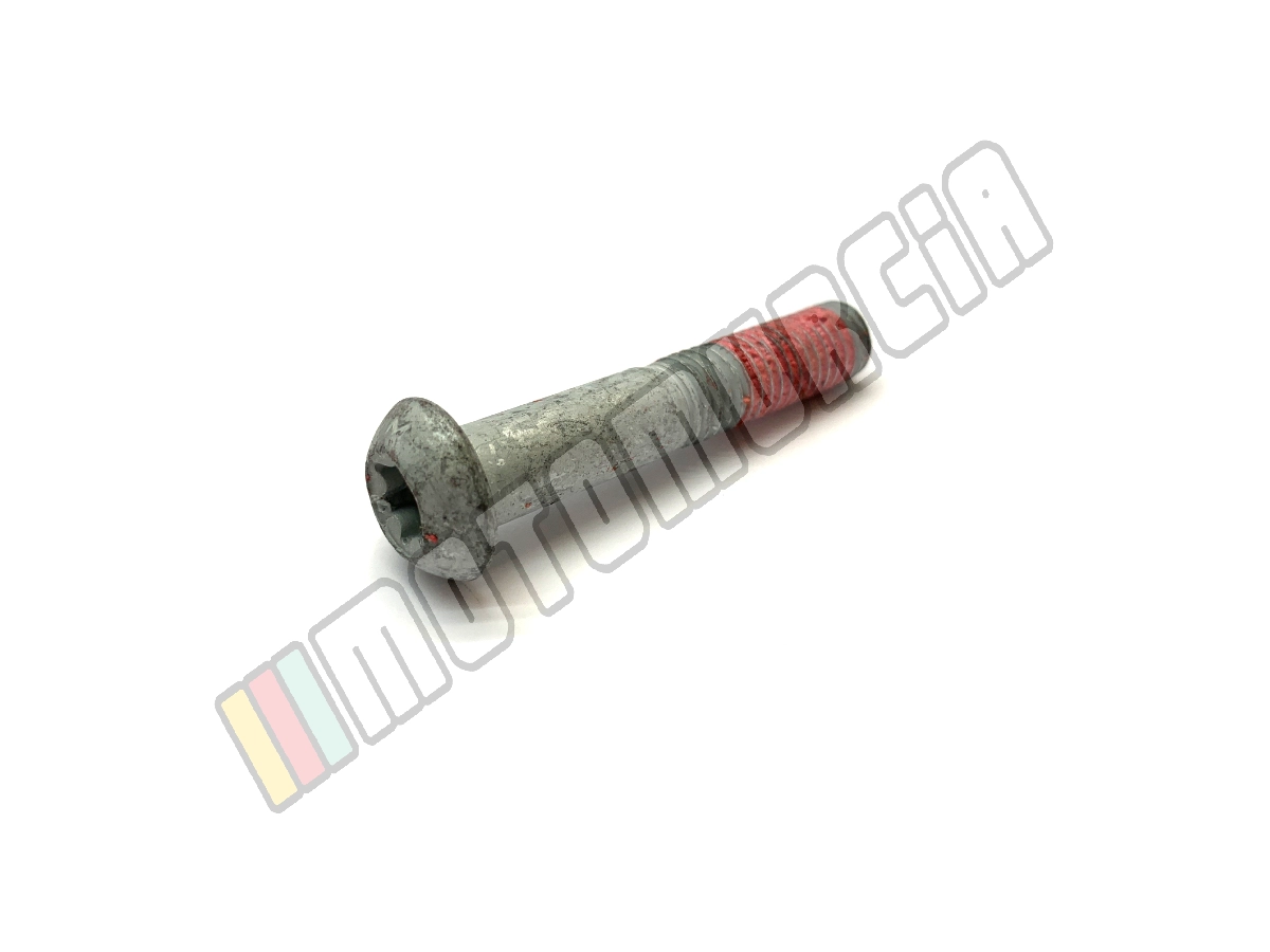 Vite Torx M10x55