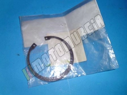 Circlips