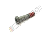 Vis Torx M10x55