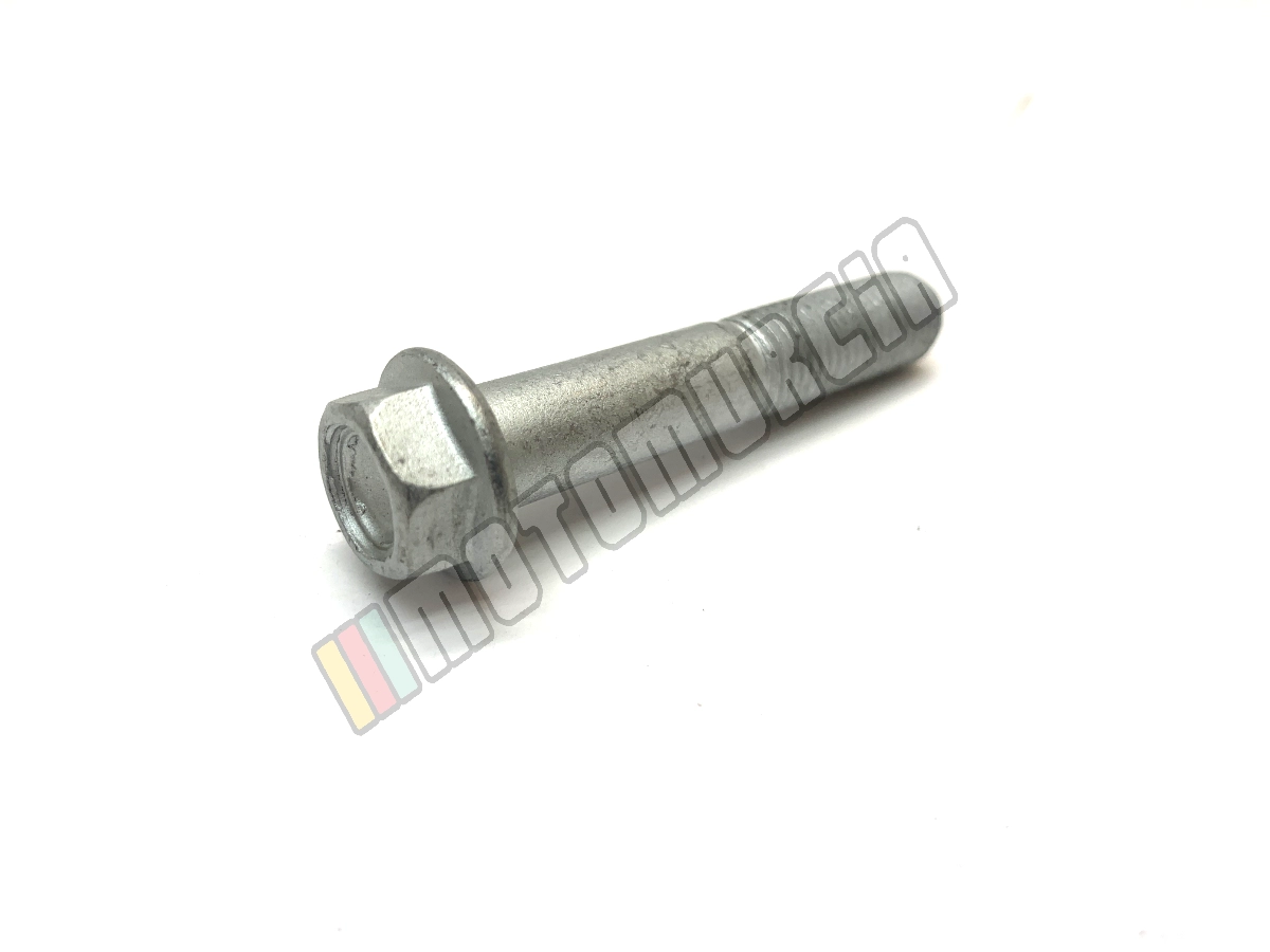 Vis avec bride M10x55