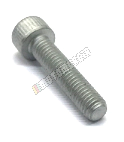 Vis