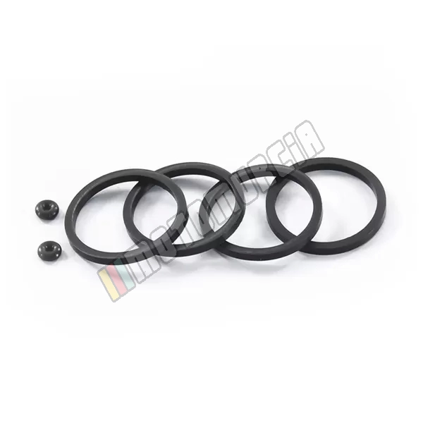 Gasking Set for Paliper em combinação com: 188.1780001