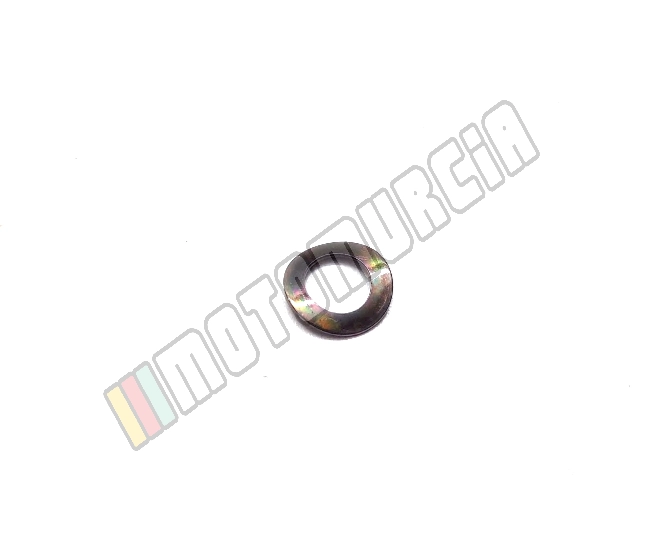 Anillo