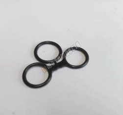 Dichtring