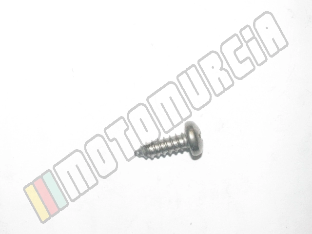 Linsenschraube 5,5x15,9 mm