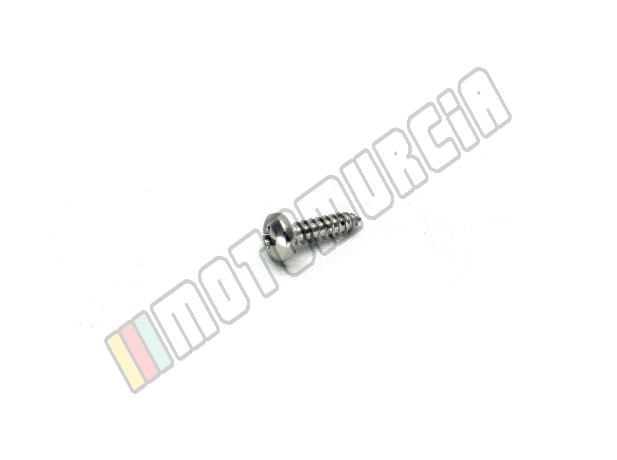 Tornillo ovalado