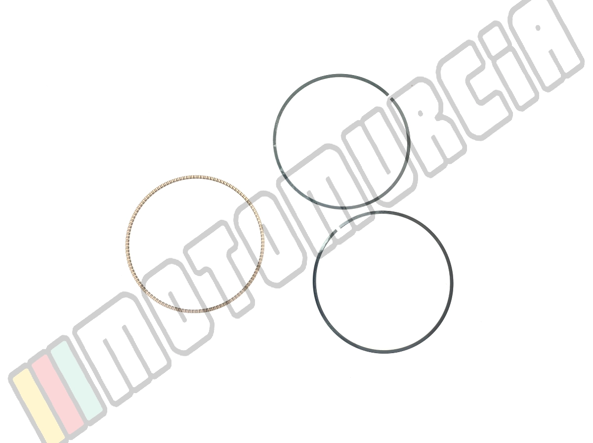 Segment
