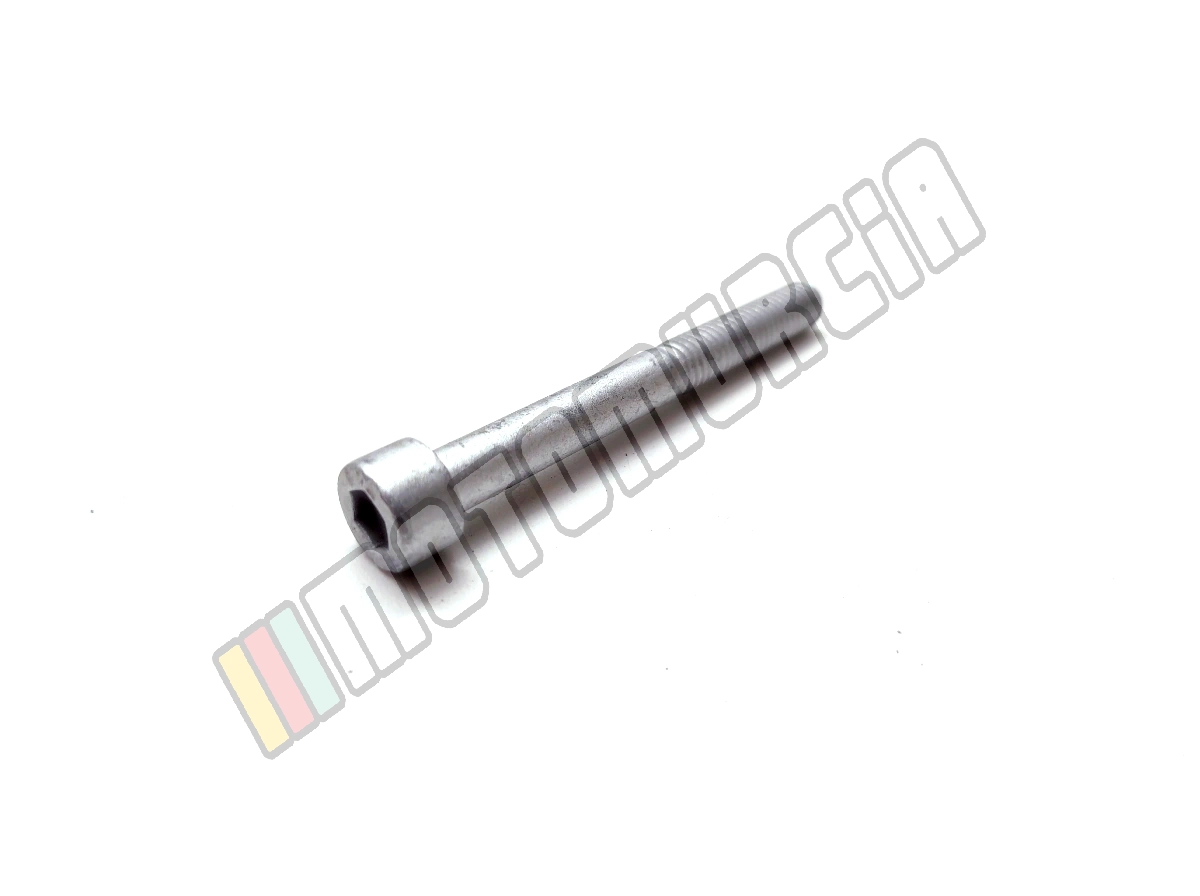Bout M6x55