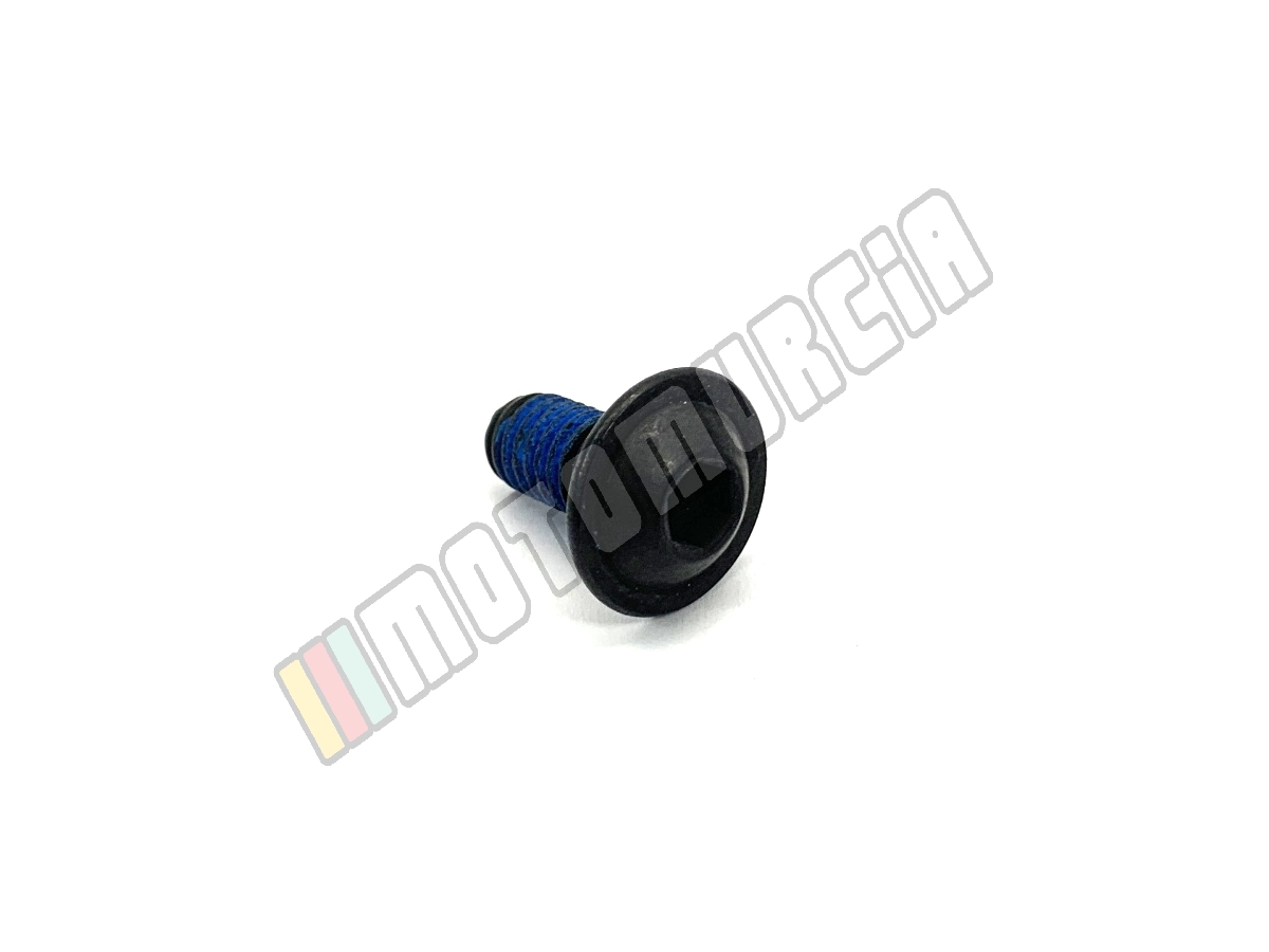 Screw M6x12