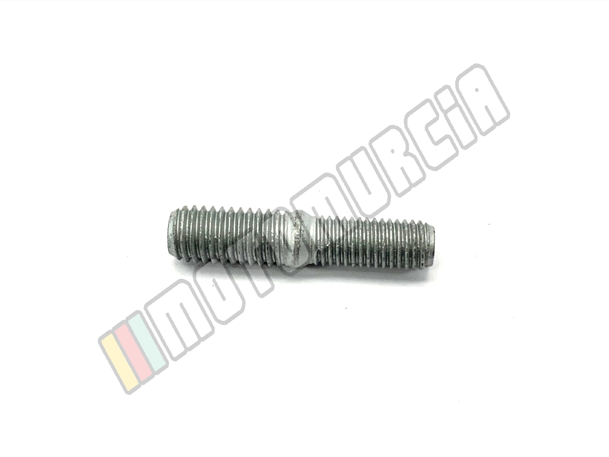 Tornillo de semental M10X171