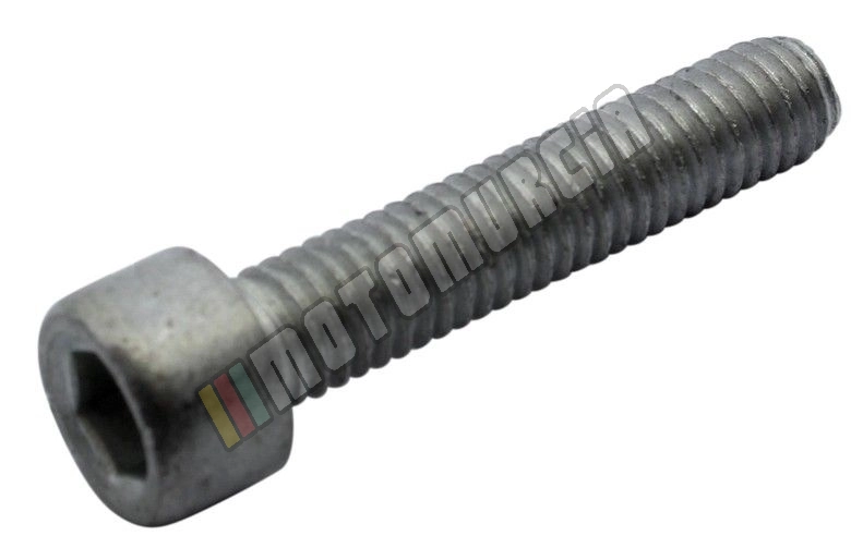 Tornillo M6X30