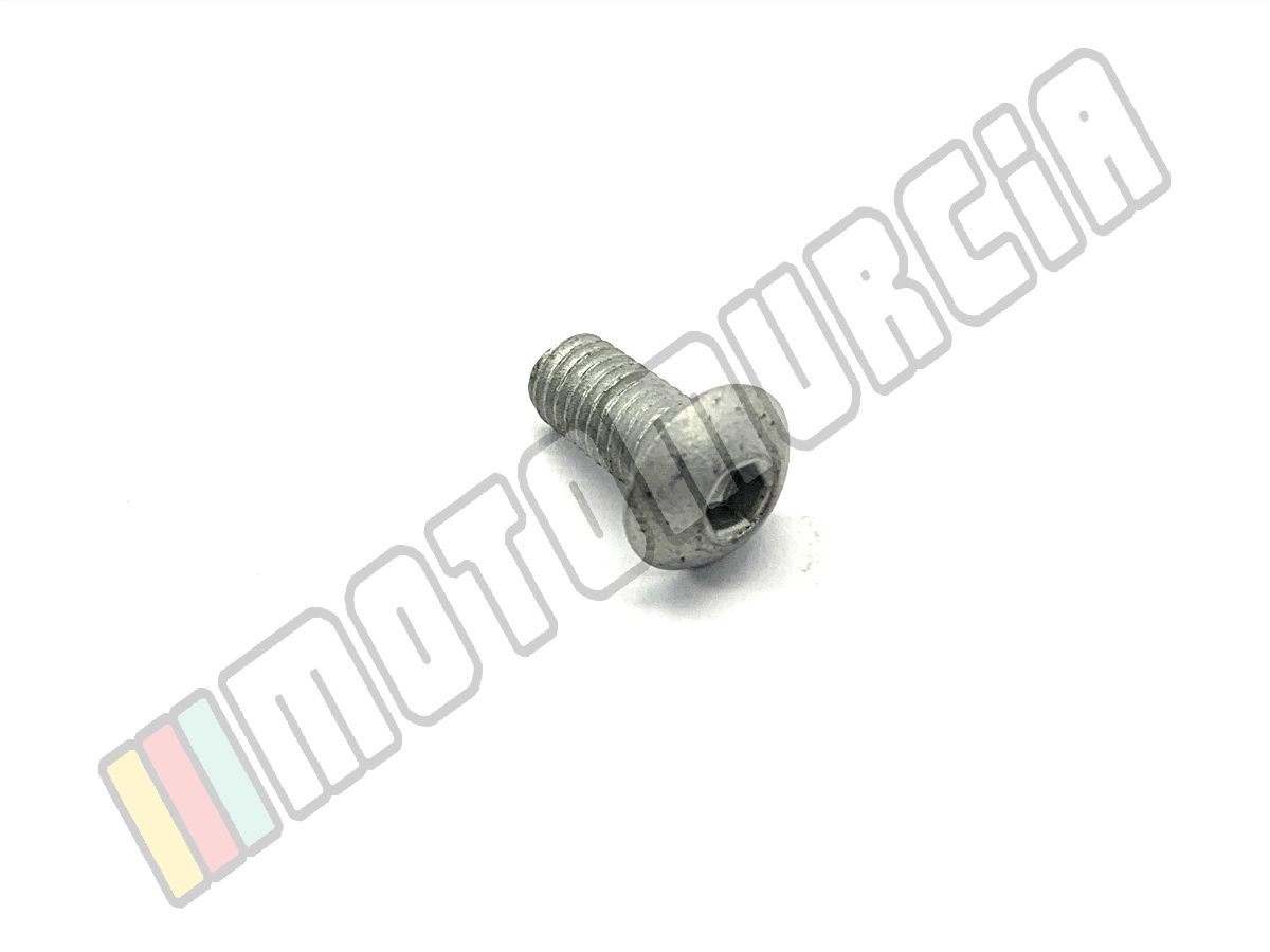 Vis M5x10