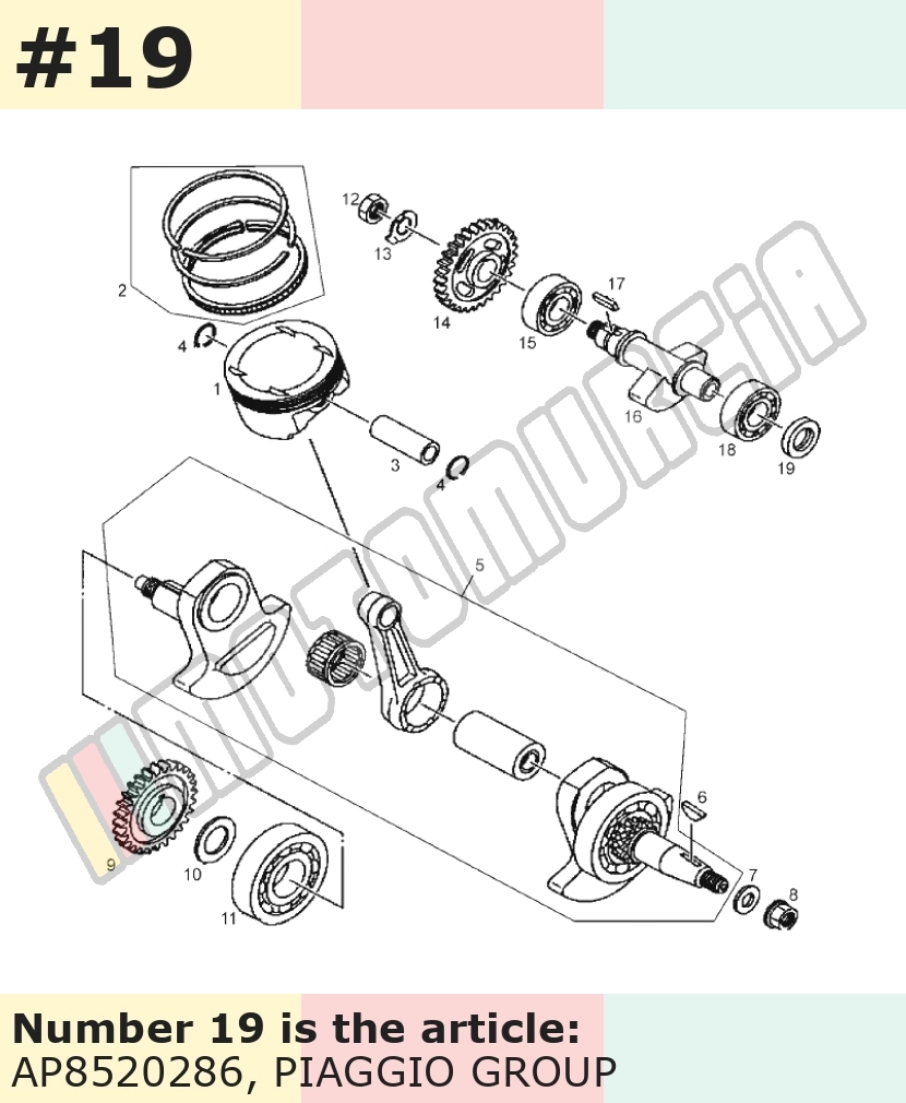 Segment racleur 25x40x3 mm