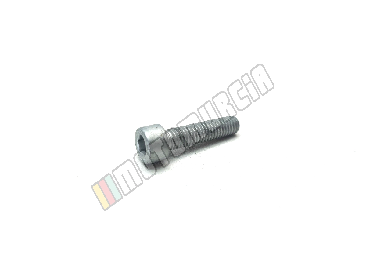 Bout M6x25