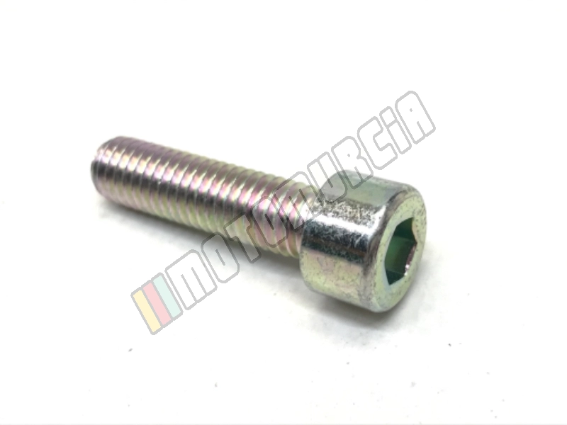 Schraube M8x24