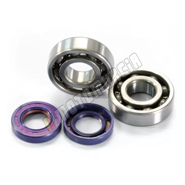 Crankshaft bearing set with sealing ring engine type: Derbi