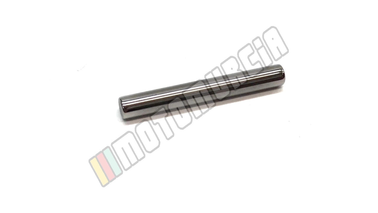Pen