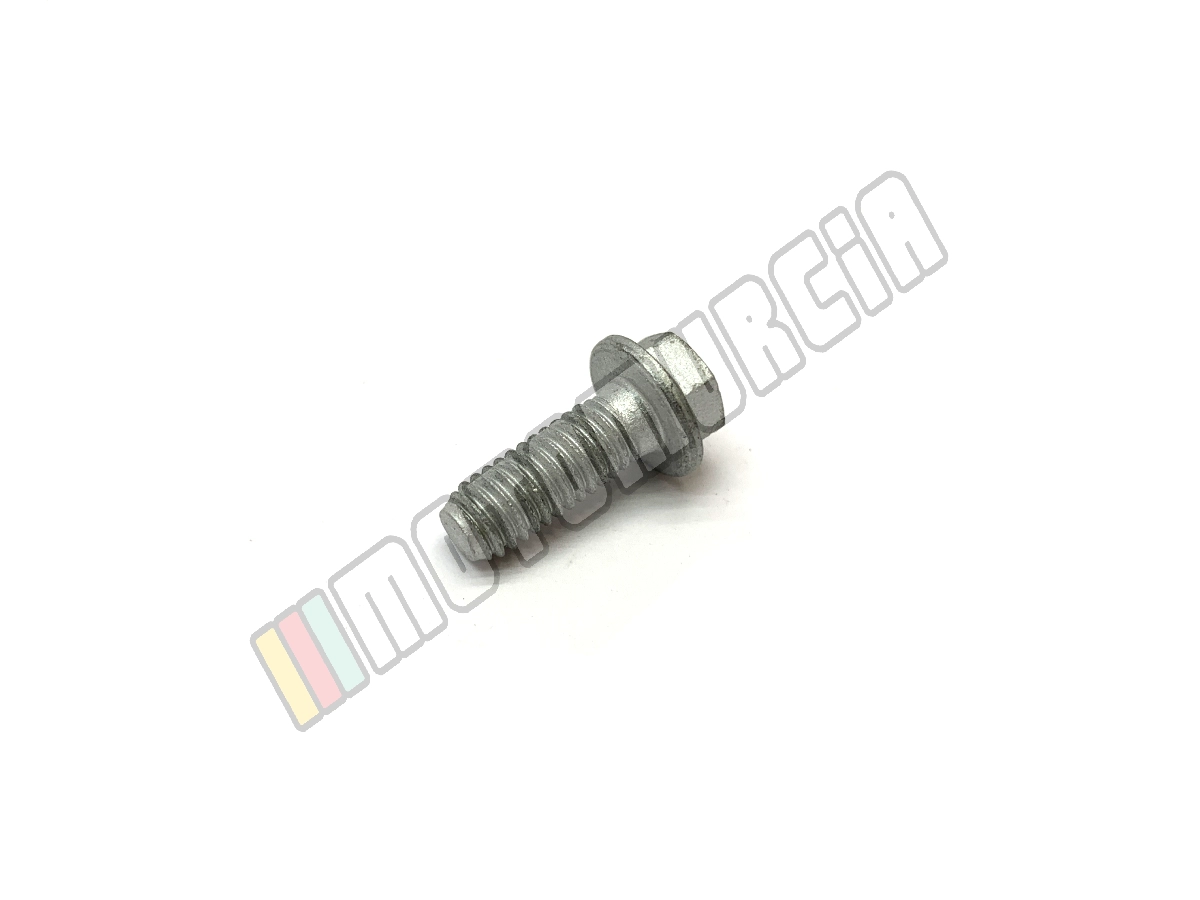 Flanged Screw M6x16