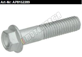 Flanged Screw M8x35