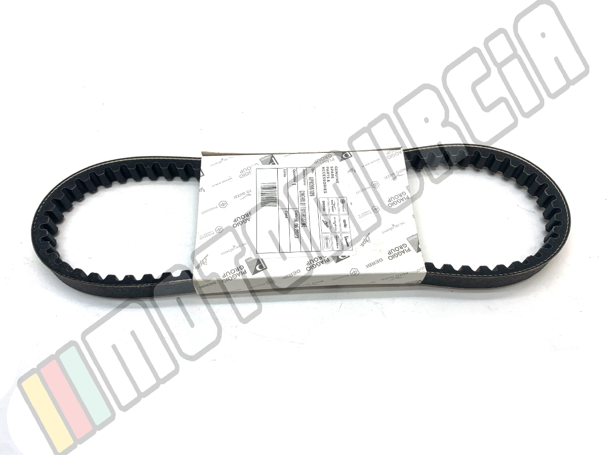 Belt