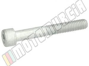 Vis M8x55