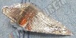 Indicator front, right