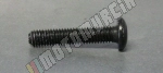 Vis M5x25