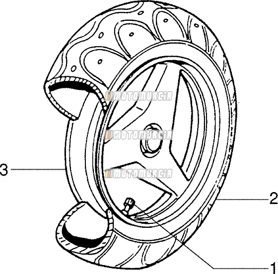 Roue arrière