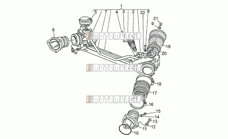 Corps de papillon