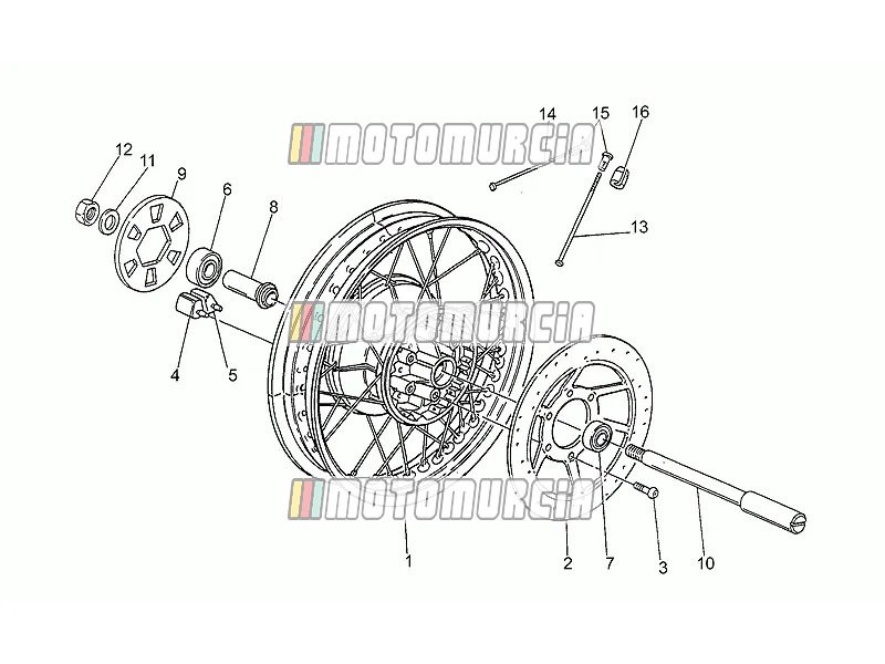Roue arrière, rayons