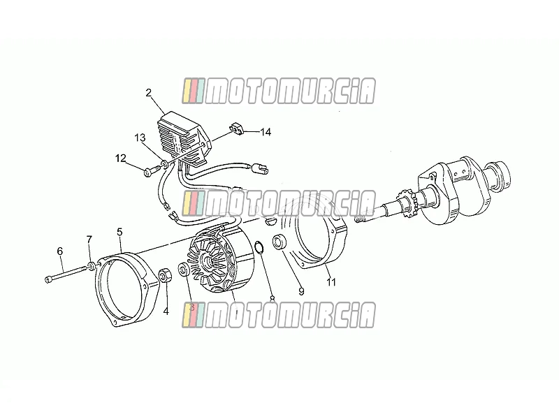 Ducati-ontsteking