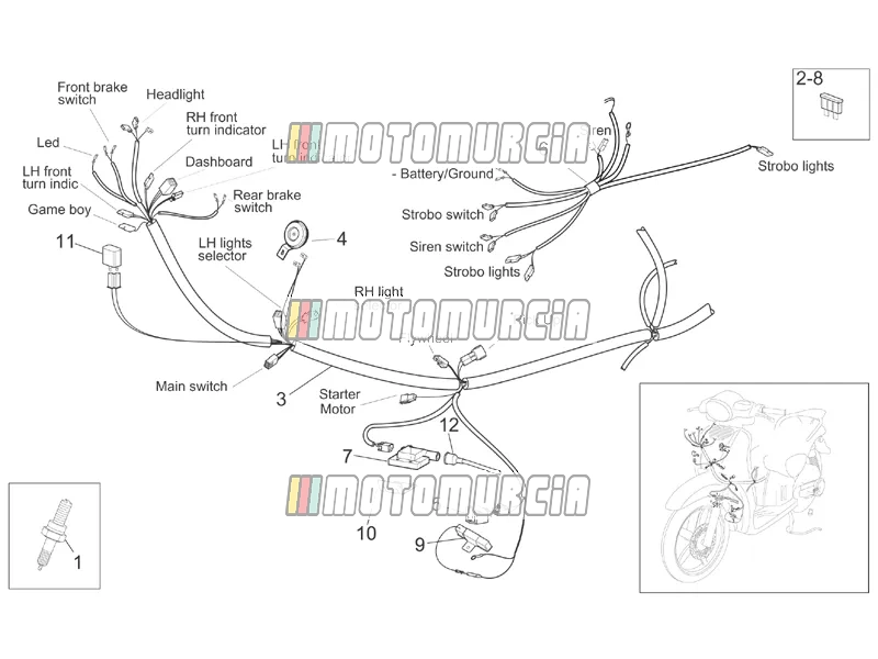 Frame » Front Electrical System