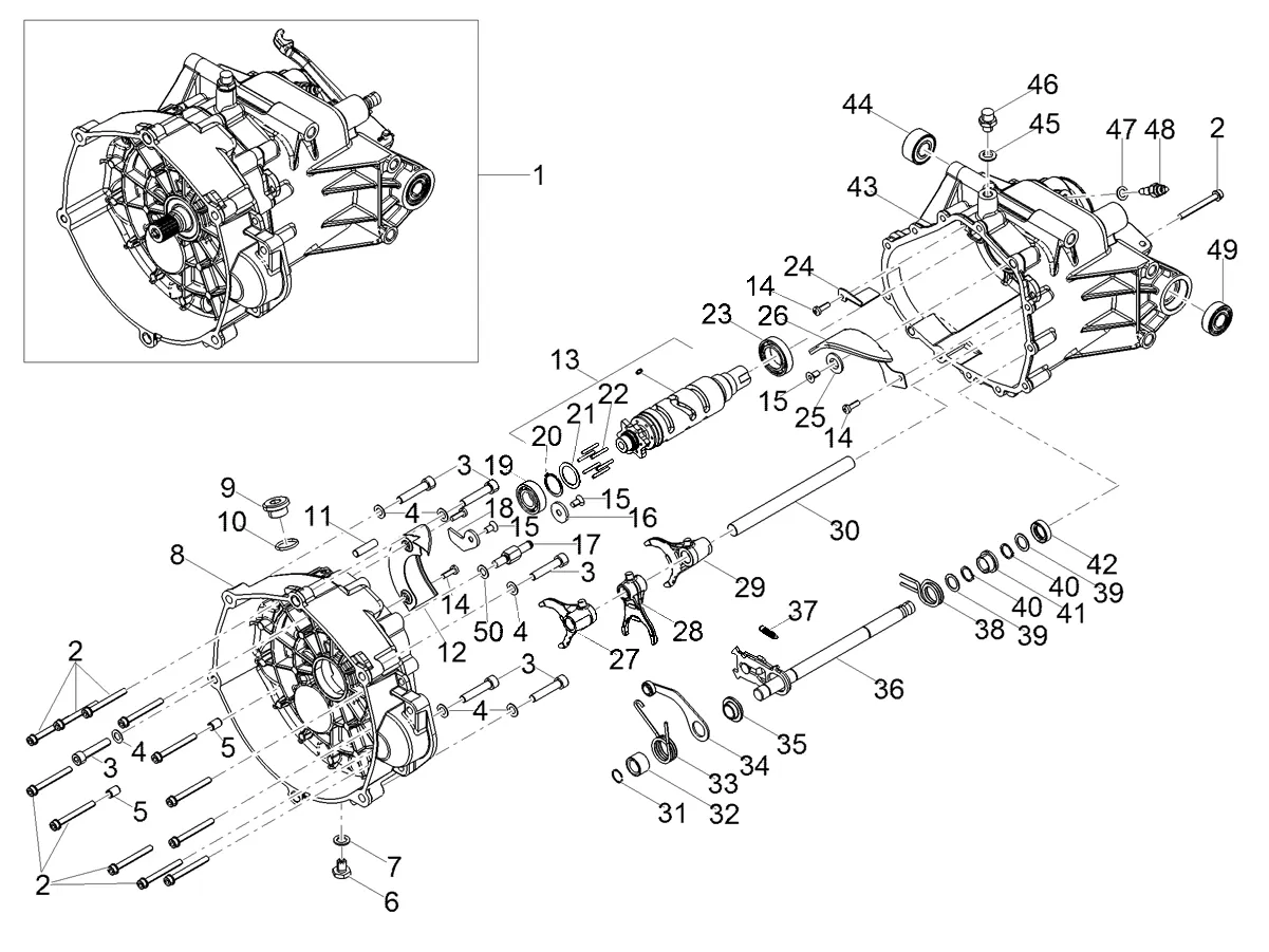 Gear Box / Selector / Shift Cam