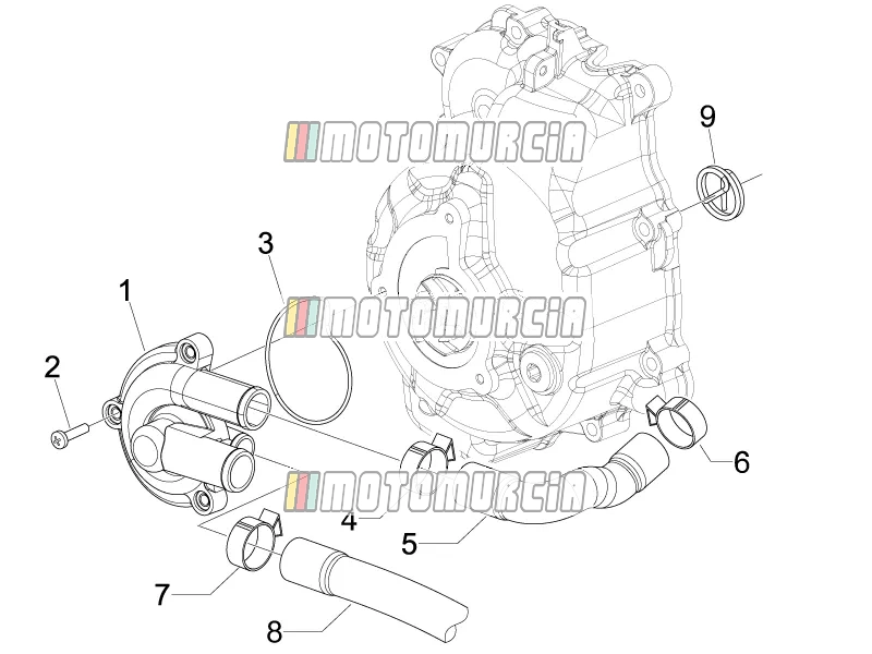 Cooler Pump