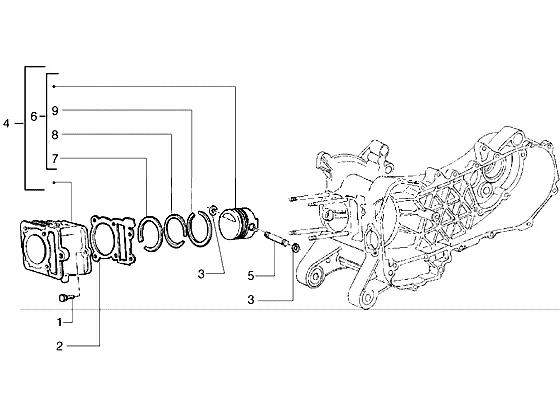 Cilinder-zuiger-polspen, assy
