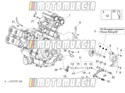 Motor