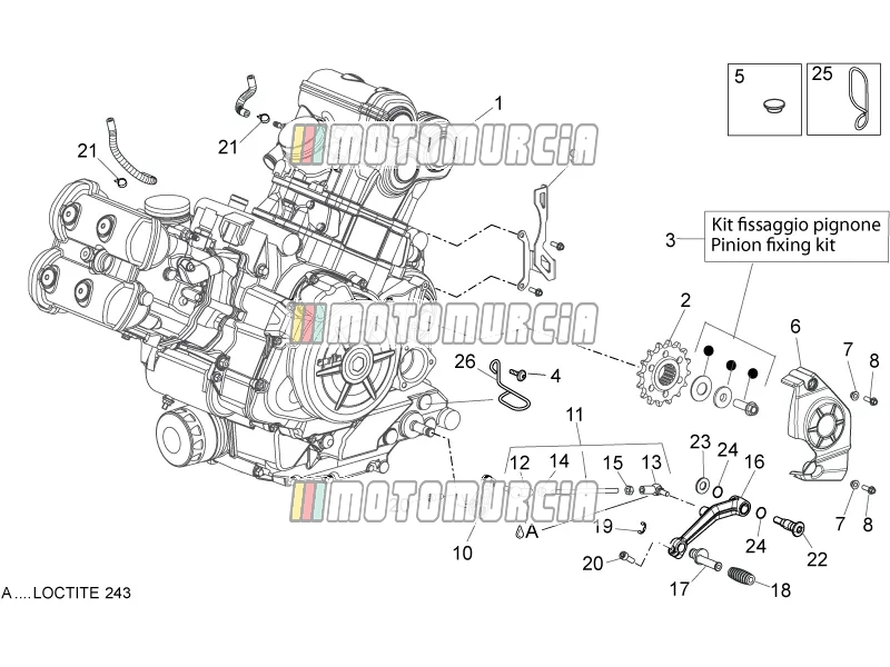 Motor