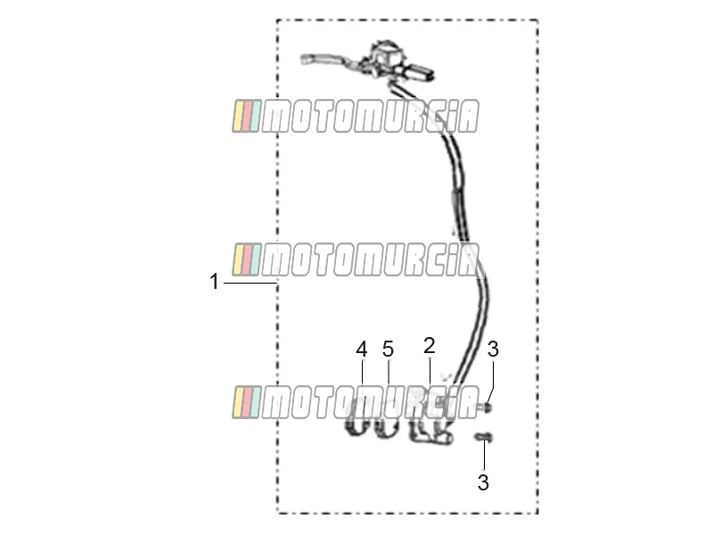 Front Brake Assembly