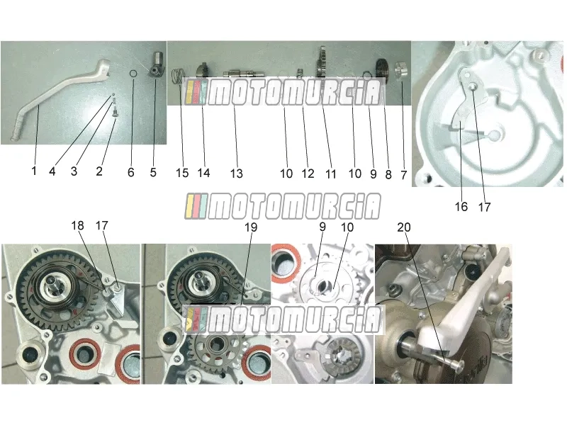 Starter Assembly