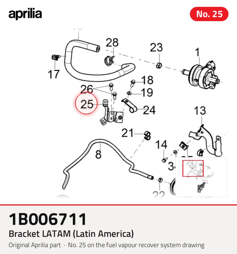 Fixation LATAM (Amérique latine)