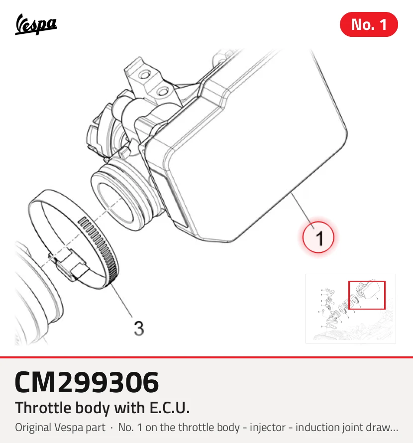 Throttle body with E.C.U.