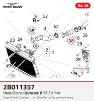 Collier durite Diamètre: Ø 36,50 mm