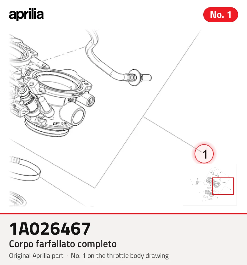 CORPO FARFALLATO COMPLETO