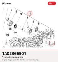 * COMPLETE CRANKCASE
